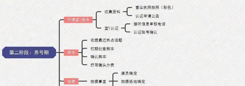 抖音12大运营技巧，让你成为爆款创作者（如何运营抖音？从这12个技巧入手！）