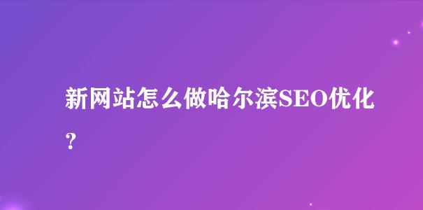 如何提高新网站的排名（详解排名提升的8个方法）