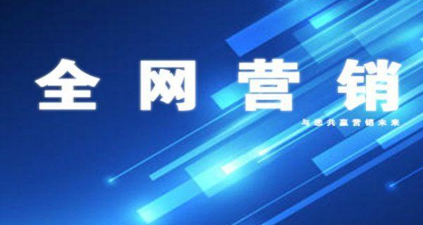 如何稳定新网站的排名（建立可靠的SEO策略，提高用户体验）