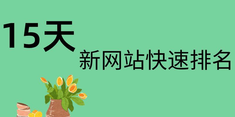 新站获取排名的注意事项（如何让新站快速上位？）