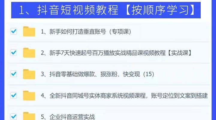 如何选择适合的抖音小店类型（探索不同类型小店的利弊）