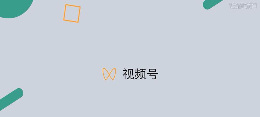 视频号（掌握视频带货技巧）