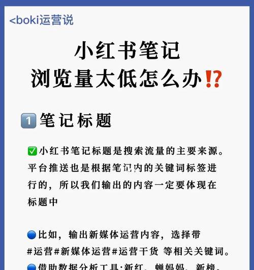 小红书运营指南——打造成功的社交电商平台（从用户画像到内容策略）