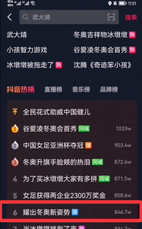 抖音搜索结果为空的原因及解决方法（探究搜索结果为空的情况）
