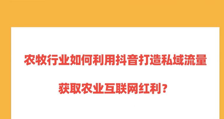 揭秘抖音私域流量，提升企业影响力的秘密武器（如何打造私域流量）