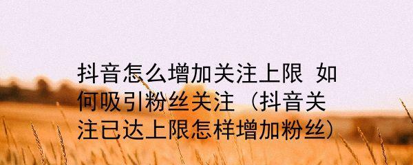 抖音粉丝1000如何快速增加粉丝（15个小技巧教你轻松拥有1000个忠实粉丝）