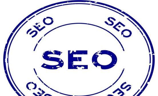 SEO优化之如何选择适合的域名（掌握这些技巧）