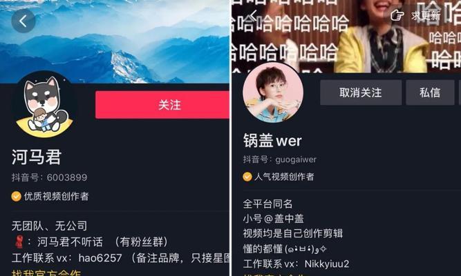 抖音粉丝灯牌的神奇用处（让粉丝们更热烈）