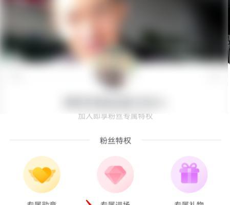 抖音粉丝等级详解（了解抖音粉丝等级）