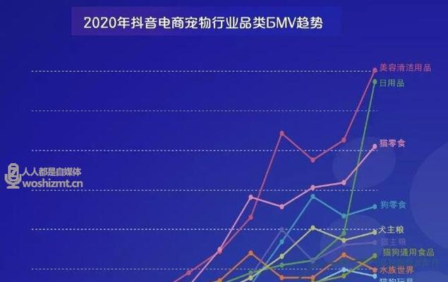 抖音浏览量多的好处（探究抖音浏览量多的秘密）