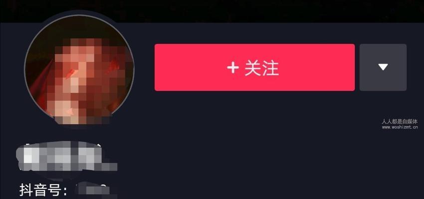 如何在抖音拍视频时同款音乐为主题（掌握这些技巧）