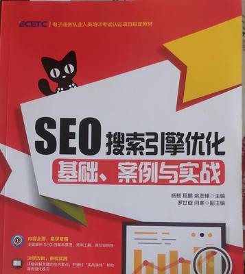 如何结合SEO优化提升网站流量（实用案例解析）