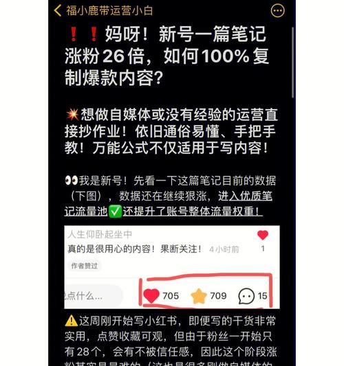 如何成功谈判小红书推广合作（从策略制定到落地执行）