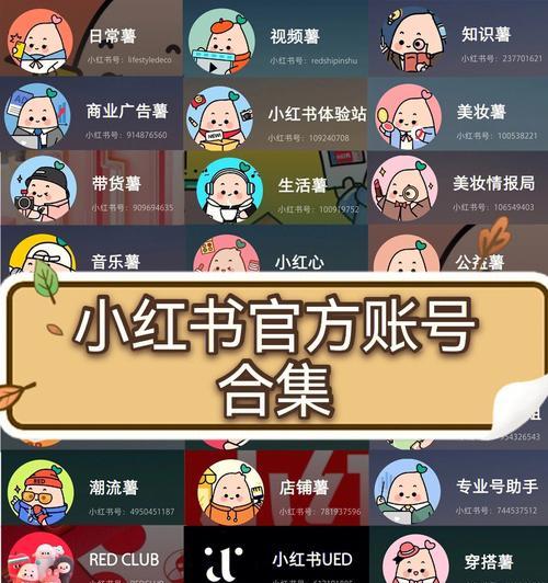 小红书违规规则大揭秘（这些规定）