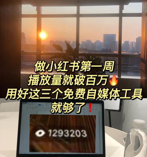 小红书自营店的优势和购物攻略（深入解析小红书自营店的特点和购买技巧）