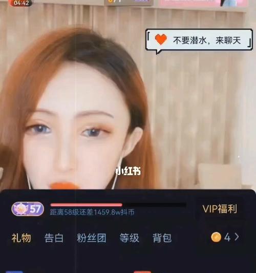 抖音自己粉丝灯牌等级是怎么看的（掌握抖音粉丝等级）