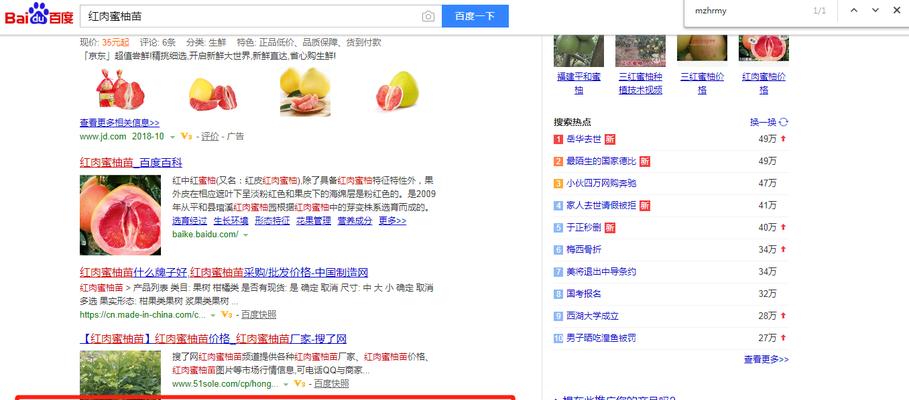 营销型网站与展示型网站的区别（探究网站设计的两种模式）
