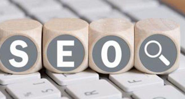 SEO入门指南（轻松学会SEO的技巧和方法）