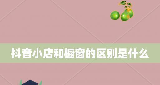 抖音小店旗舰店和专营店区别（如何选择适合自己的店铺类型）