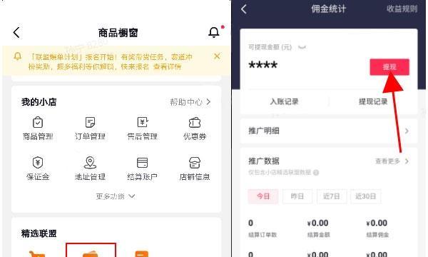 揭秘抖音月付额度提现方法（从额度获取到提现流程）