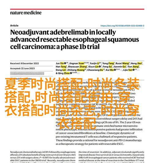 关键词与seo是什么关系？如何优化关键词提高网站排名？