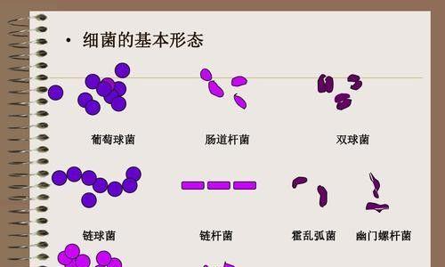 STRINGViruses数据库是什么？如何查询病毒与宿主互作？