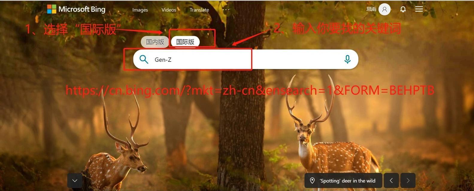 bing搜索引擎有哪些特点？如何使用bing搜索引擎进行搜索优化？