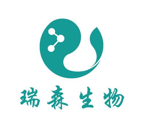 初创公司如何进行SEO优化？详细指导意见有哪些？
