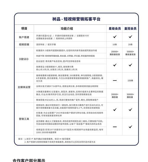 低成本高效的SEO技巧有哪些？如何快速提升网站排名？