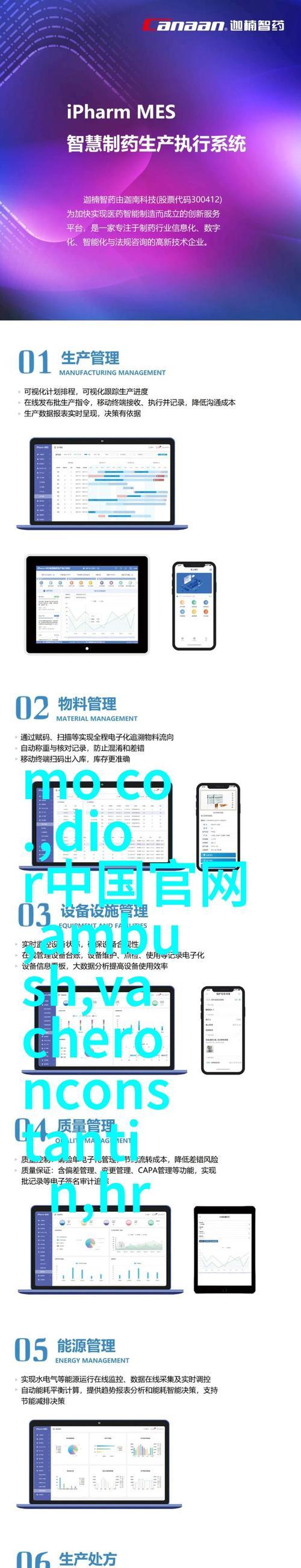 SEO优化中常见问题有哪些？如何解决？