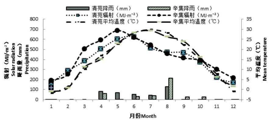你怎样跟那些优化的熟行比？如何快速提升SEO技能？