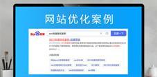 如何通过SEO优化案例获得优化经验？这些案例有哪些常见问题？