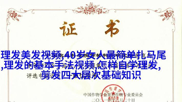 无量搜索引擎的使用技巧有哪些？