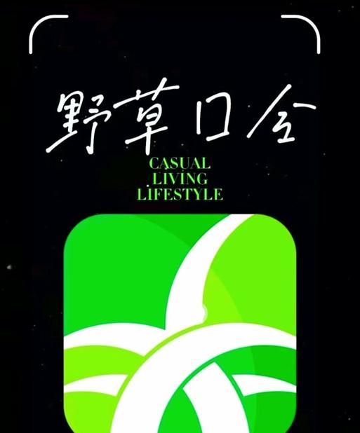 野草助手搜索引擎安卓版有哪些功能？