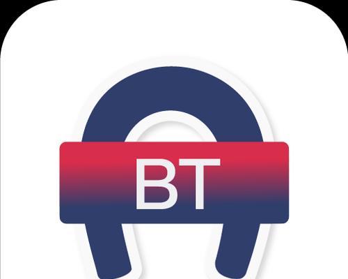 bt开头的搜索引擎是什么？如何使用？