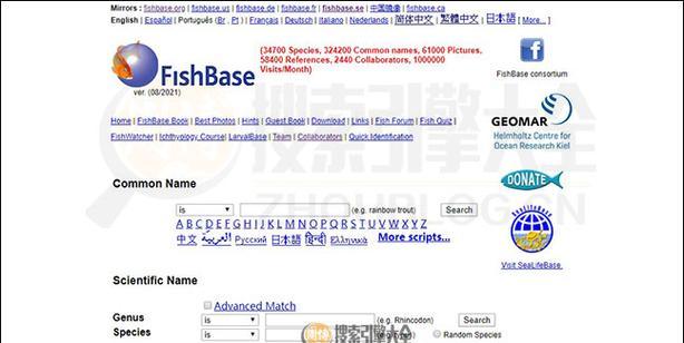 全球最顶尖的搜索引擎是哪一个？