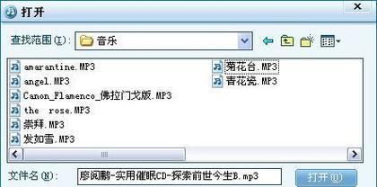 融合音乐搜索引擎如何使用？有哪些功能？
