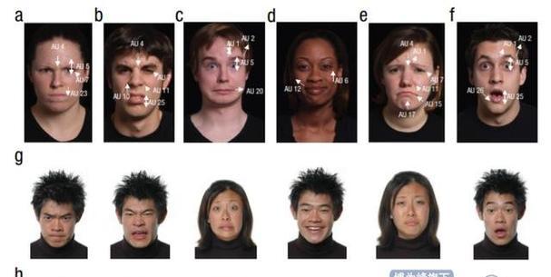 人脸照片搜索引擎有哪些？它们是如何工作的？