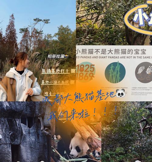 熊猫搜索引擎快导航怎么用？有哪些特色功能？