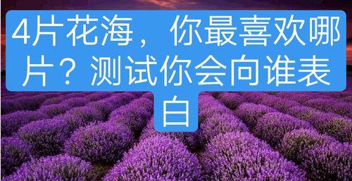 快手B类违规内容涉及哪些关键词？