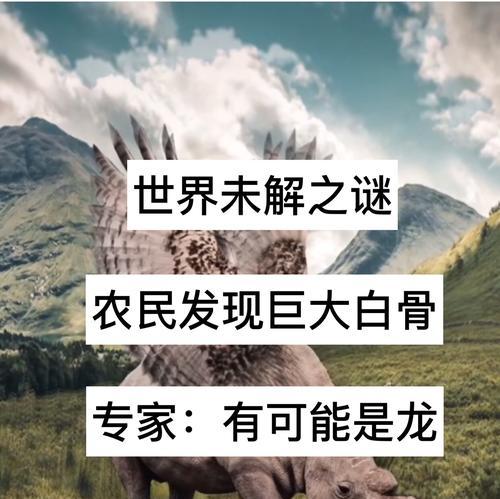 快手有哪些禁止使用的关键词？
