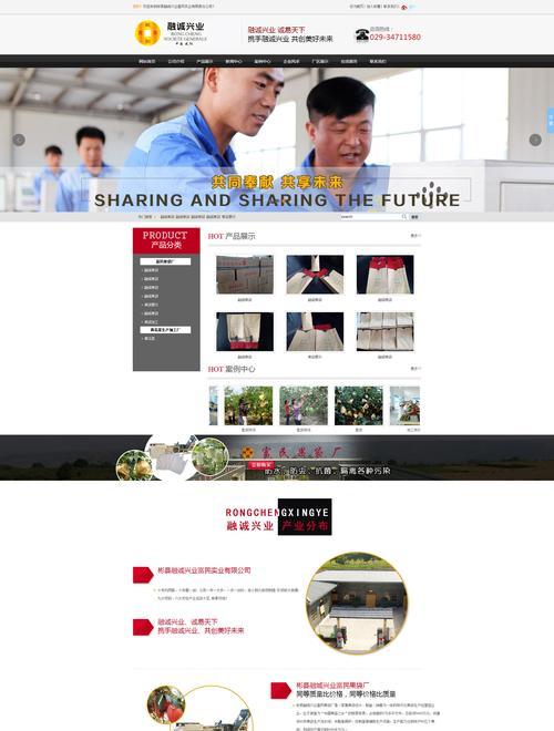 咸阳专业网站优化的策略是什么？