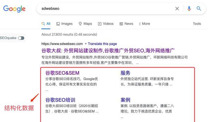 谷歌首页优化下载程序的正确步骤是什么？