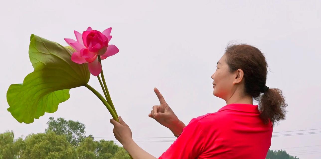 荷花抖音视频剪辑怎么做？常见问题有哪些解决方法？