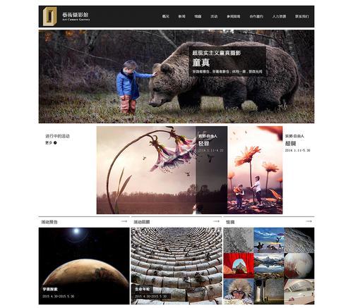艺术网站功能分析怎么写？如何深入理解其服务特点？