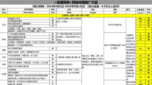创业项目网站如何推广？有哪些有效的推广策略？