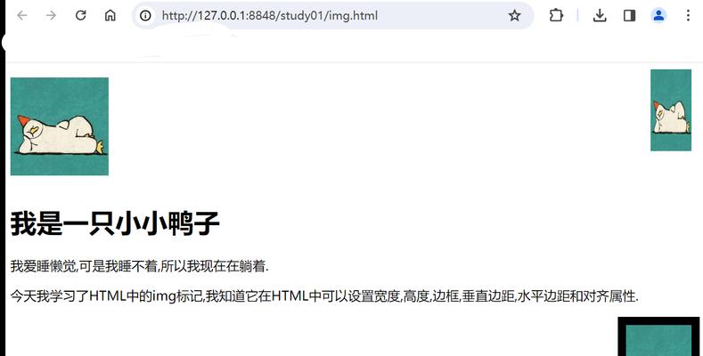 在HTML中使用哪些HTML标签？常见问题解答
