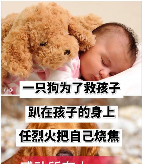 快手小狗视频剪辑技巧有哪些？如何快速上手？