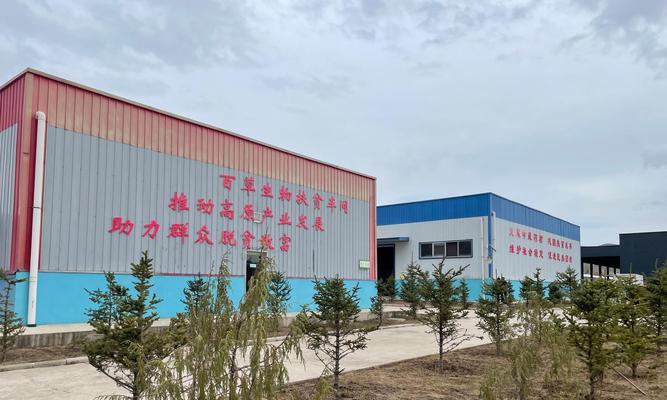 甘南短视频优化怎么做？优化策略和常见问题解答？