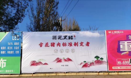 莱芜网站推广如何做？有哪些有效策略和常见问题解答？